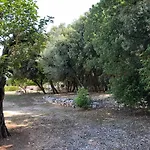 Maria *